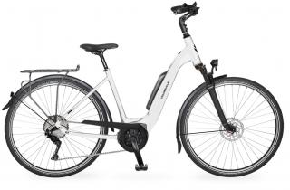 Rental Ebike 