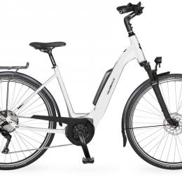 Rental Ebike 