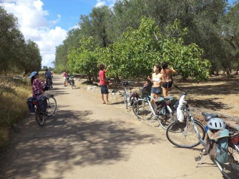 Biking and camping in Salento Puglia