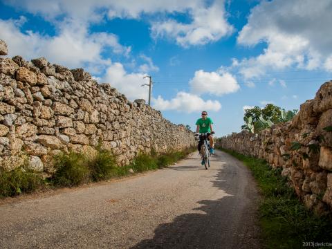 Cycle tour with expert guides