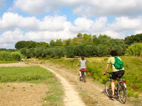 Cykeltur mellan åkrar