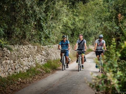 Bike tour Salento bici tour