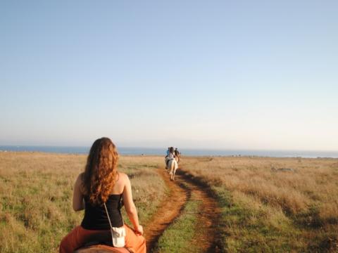 kulinarische reise italien Salento Bici Tour
