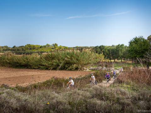 Cycling tour Salento