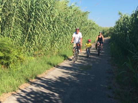 family bike tour