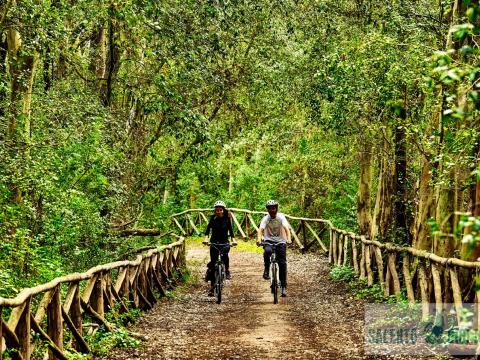 Cycle tour with expert guides