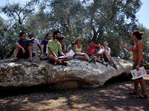Lektion i italienska i skuggan av olivträd