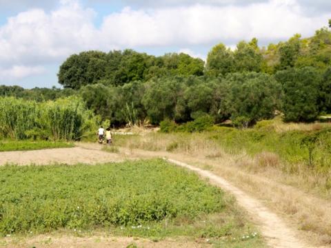 Randonnée à vélo