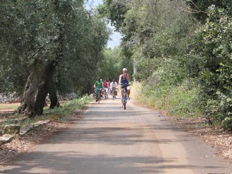 Randonnée à vélo