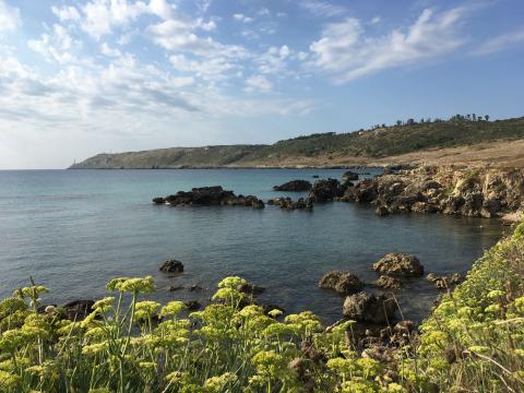 Camminare in Puglia