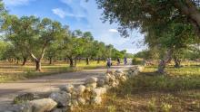 bike tour salento