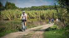 Cycle trip Salento bici tour